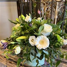 Neutral Hat Box Arrangement 