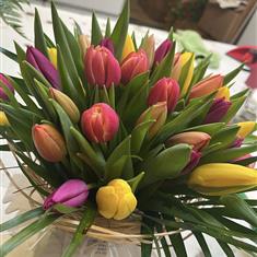 Mixed Tulip Hand Tied Bouquet