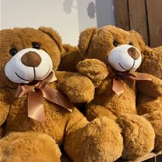 Brown Bear